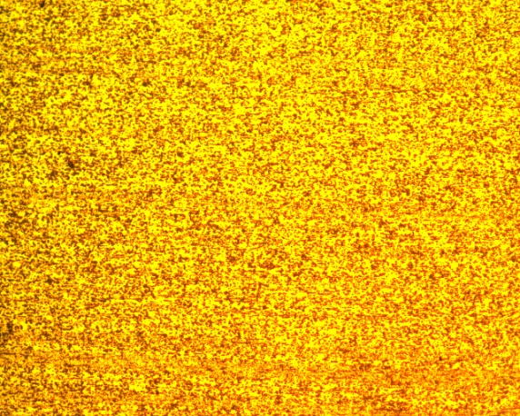 Nuevo proceso Horizontal200X Nuevo proceso Horizontal200X