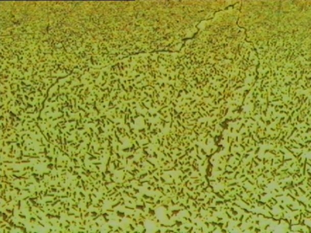 Proceso de oxidación interna común Vertical200X Proceso de oxidación interna común Vertical200X