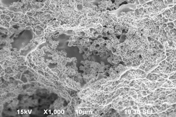Material AgWC