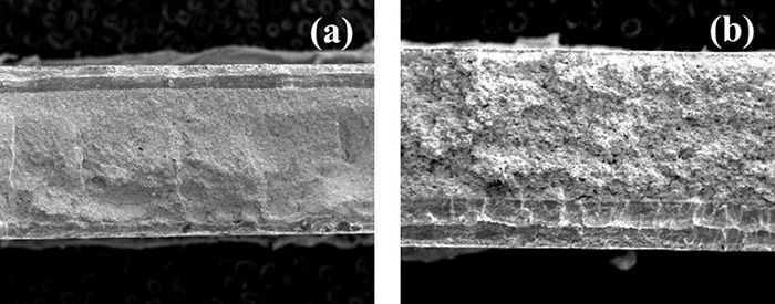 Material AgWC