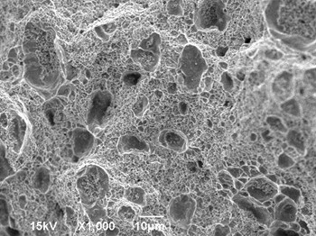 Material AgWC