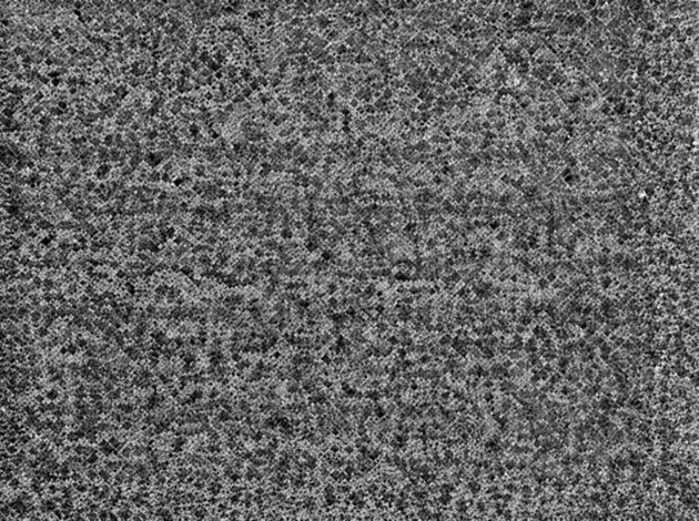 Microestructura del AgCdO12 modificado