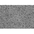 Polvo de plata micronano - PM04