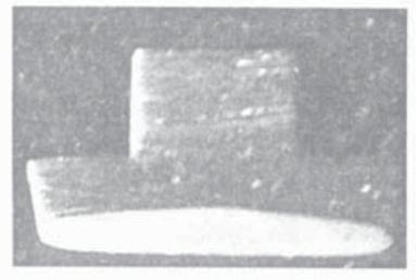 Perfil del remache